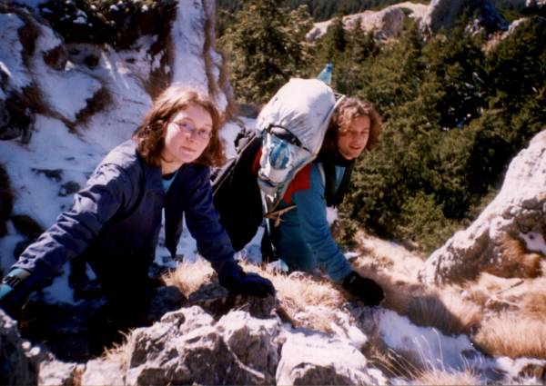 Image 12 of 25  -  229 kB